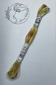 Hilo Mouliné Coloris DMC - REF.4508