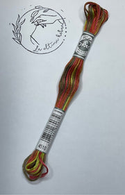 Hilo Mouliné Coloris DMC - REF.4510
