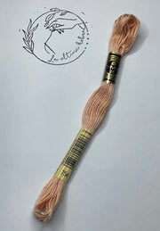 Madeja de bordado DMC - REF.754