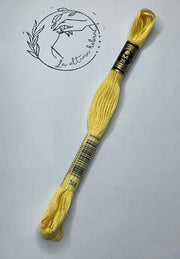 Madeja de bordado DMC - REF.744