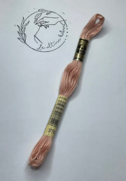 Madeja de bordado DMC - REF.3779