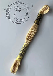 Madeja de bordado DMC - REF. 951