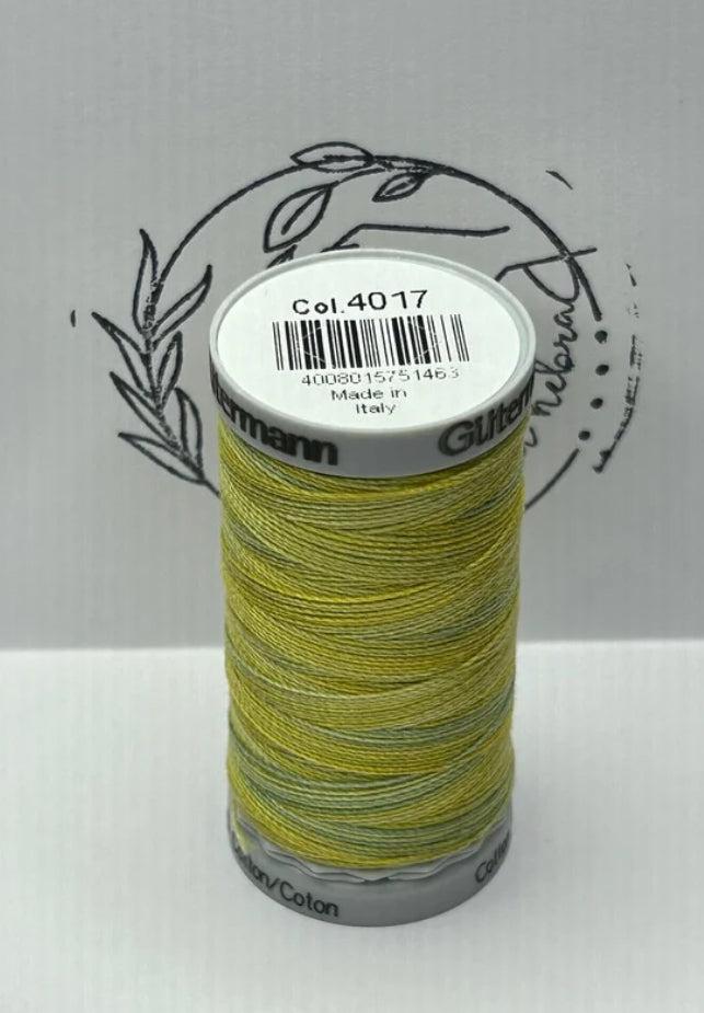 Hilo Gütermann Algodón Matizado 200 mt - REF 4017