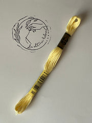 Madeja de bordado DMC - REF.3823