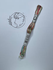 Hilo Mouliné Coloris DMC - REF.4501