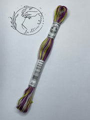 Hilo Mouliné Coloris DMC - REF.4503